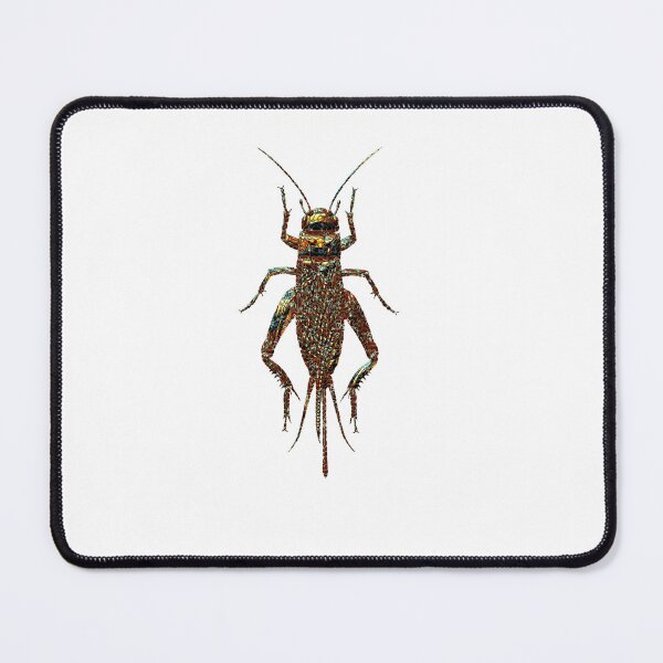 Item preview, Cricket bug designed and sold by Elonium.