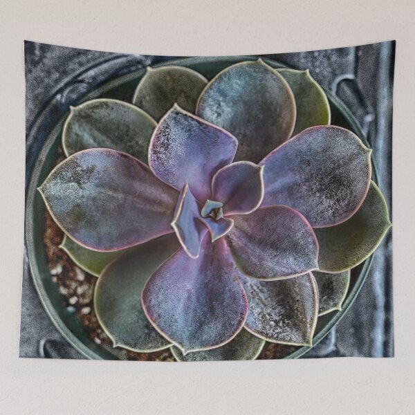 Item preview, Gaelic Succulent designed and sold by Melinda Brown.