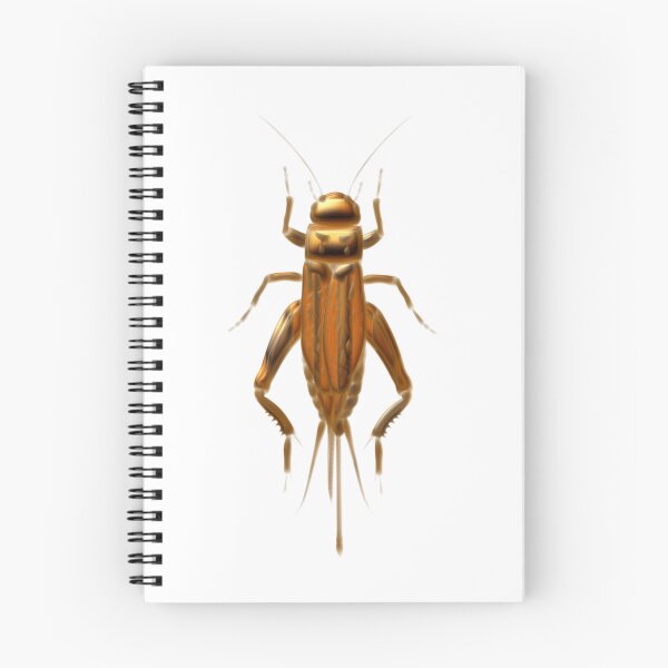 Item preview, Cricket bug designed and sold by Elonium.