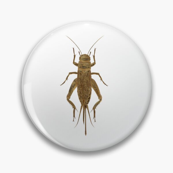 Item preview, Cricket bug designed and sold by Elonium.