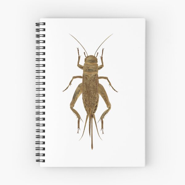 Item preview, Cricket bug designed and sold by Elonium.