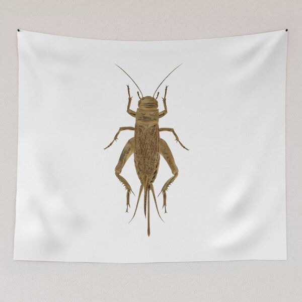 Item preview, Cricket bug designed and sold by Elonium.