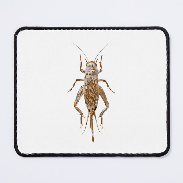 Item preview, Cricket bug designed and sold by Elonium.