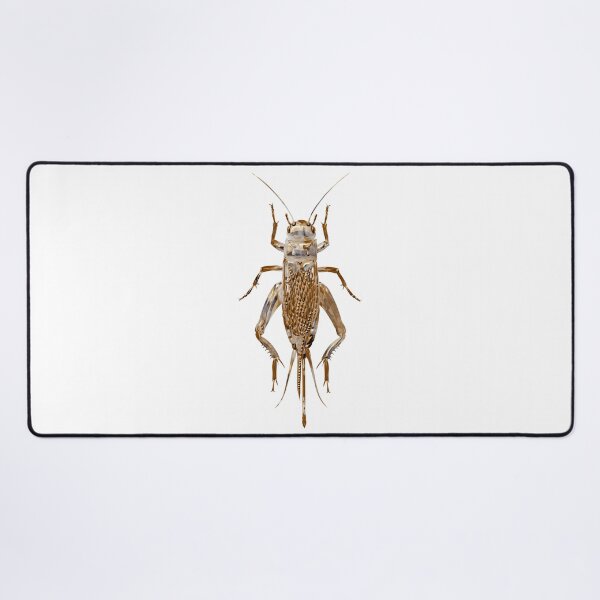 Item preview, Cricket bug designed and sold by Elonium.