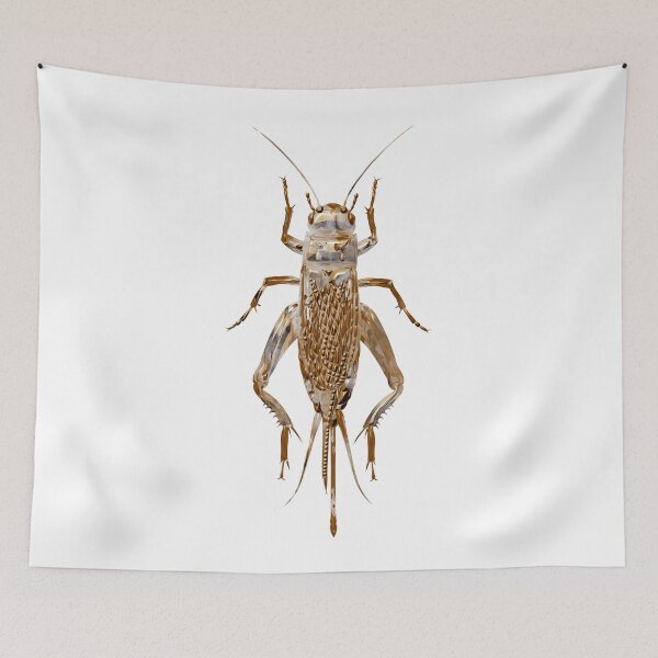 Item preview, Cricket bug designed and sold by Elonium.