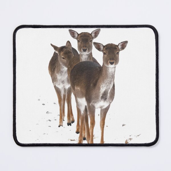 Item preview, Shy little one... designed and sold by Gisele Bedard.