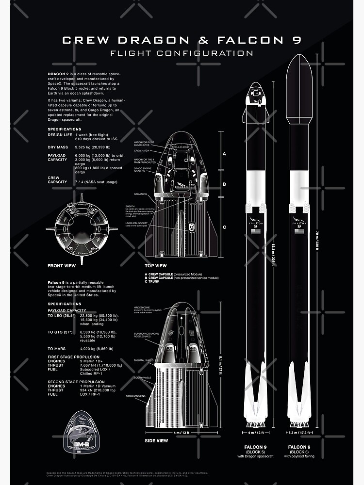 Disover SpaceX Crew Dragon Spacecraft & Falcon 9 Rocket Blueprint in High Resolution (all black) Premium Matte Vertical Poster