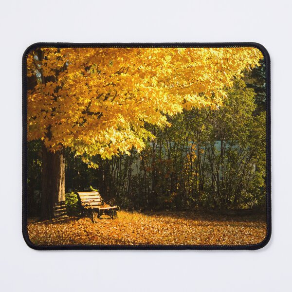 Item preview, Just a bench designed and sold by Gisele Bedard.