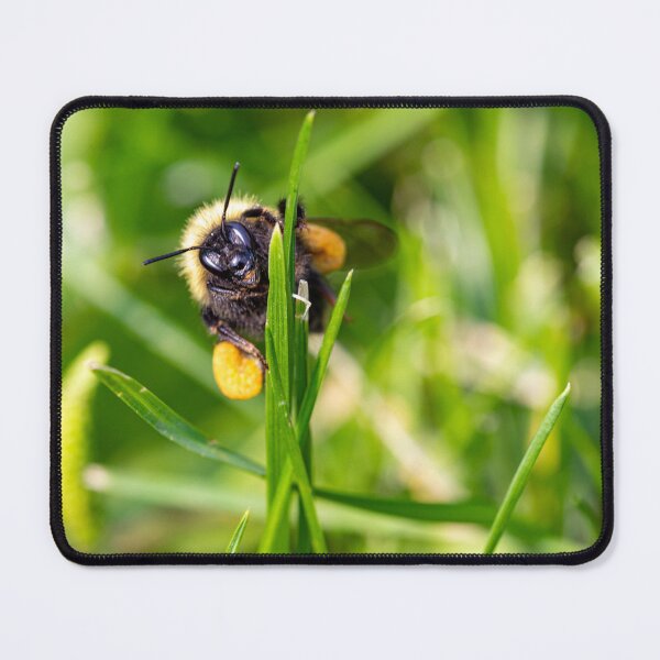 Item preview, Say Bees designed and sold by MelBolin.
