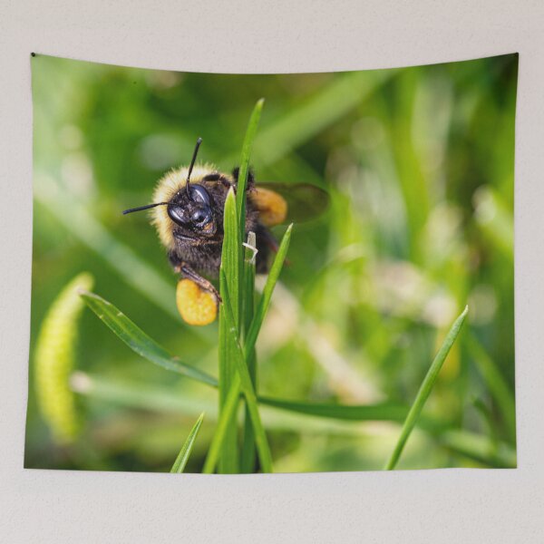 Item preview, Say Bees designed and sold by MelBolin.