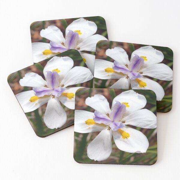 Item preview, School Garden Iris designed and sold by B. Randi Bailey.