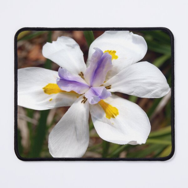 Item preview, School Garden Iris designed and sold by B. Randi Bailey.