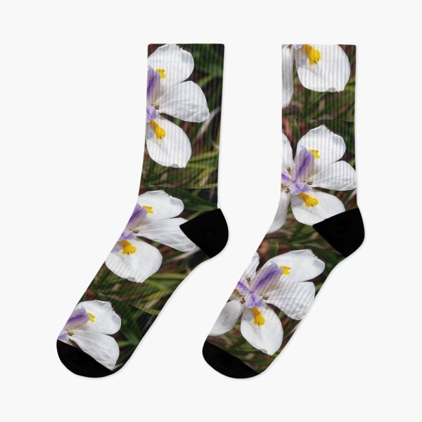 Item preview, School Garden Iris designed and sold by B. Randi Bailey.