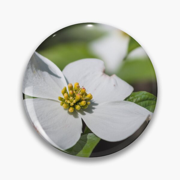 Item preview, White Dogwood Blossom designed and sold by mljdwhite.