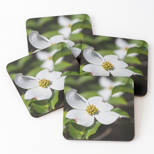 Item preview, White Dogwood Blossom designed and sold by mljdwhite.