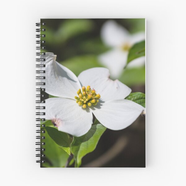 Item preview, White Dogwood Blossom designed and sold by mljdwhite.
