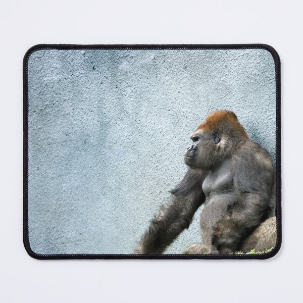 Item preview, Concrete reality designed and sold by Gisele Bedard.