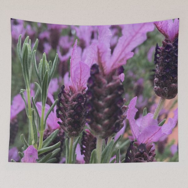 Item preview, Lavender designed and sold by rilsshopp.