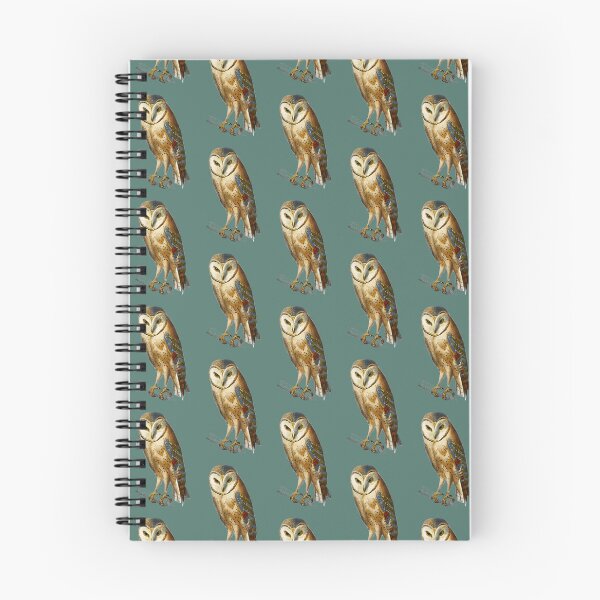 Item preview, Owl i need is love designed and sold by kwbord.