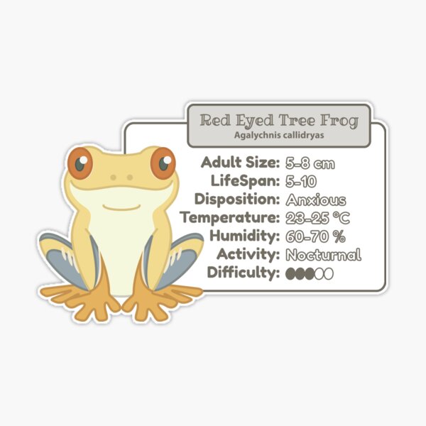 1 Pc Vinyl Frog Sticker Sheet, Tree Frog Stickers, Pacman Frog