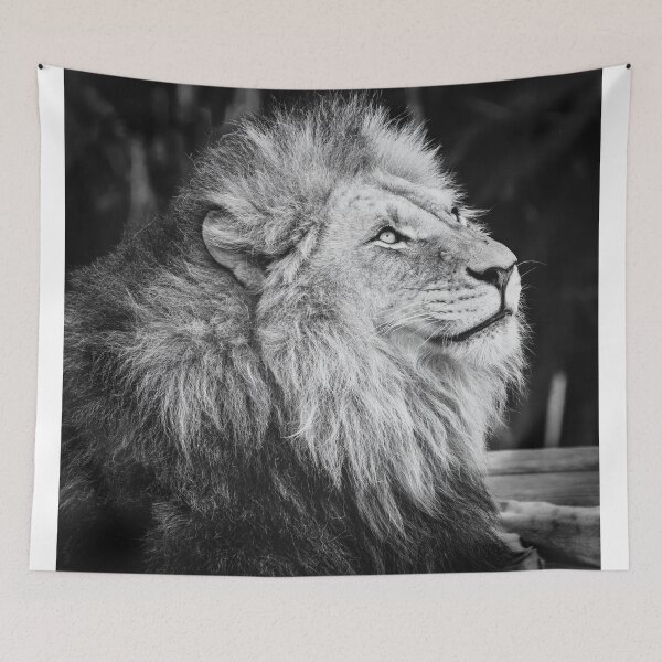 Item preview, Thoughtful Big Cat designed and sold by Peter Hocking.