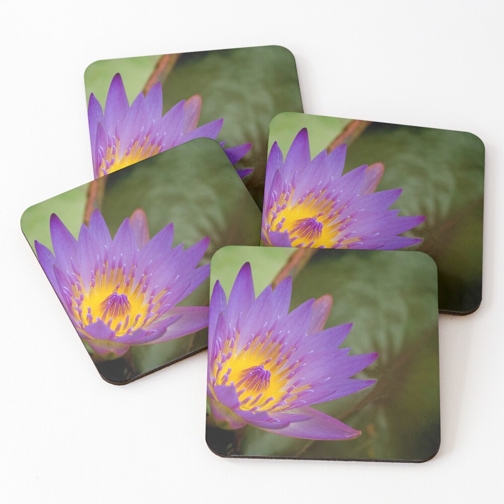 Item preview, Coasters (Set of 4) designed and sold by micmac.