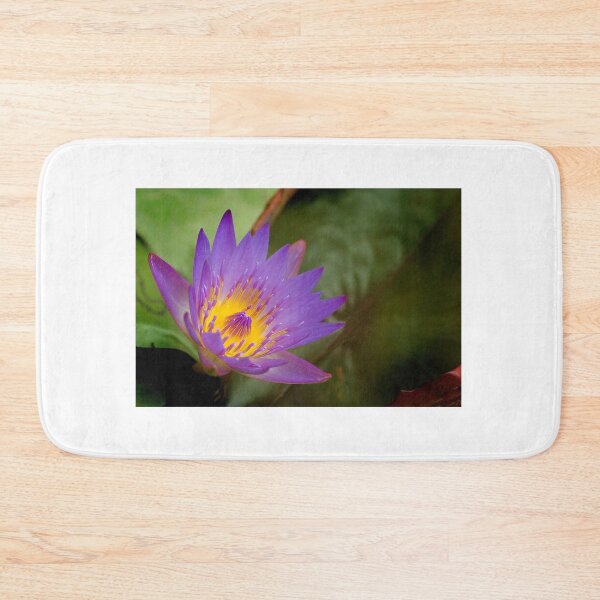 Item preview, Innerlight designed and sold by Gisele Bedard.