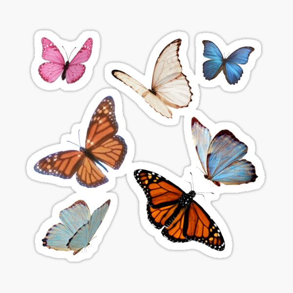 Stickers Autoadhesivos Aesthetic Taylor Harry Aviones Perros