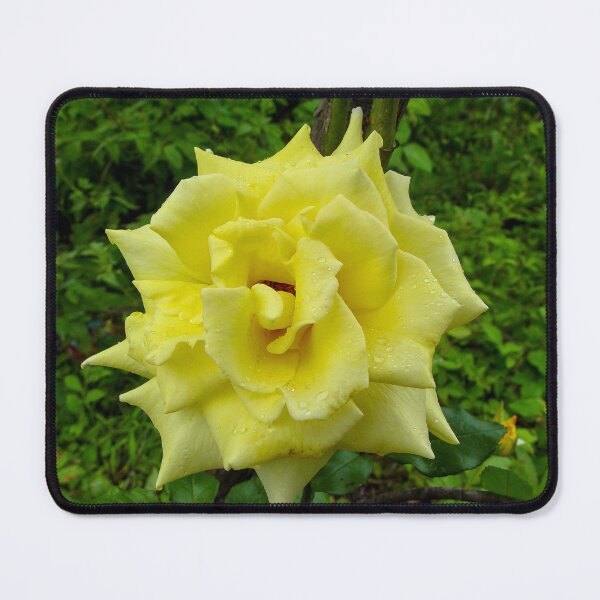 Item preview, Yellow Rose Wild designed and sold by pcfyi.