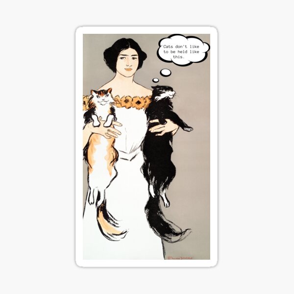 "Cats Don't Like to be Held Like This" Sticker by scardello Redbubble