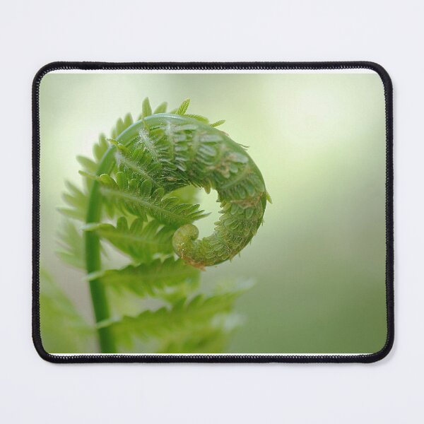 Item preview, The Beginning designed and sold by Gisele Bedard.