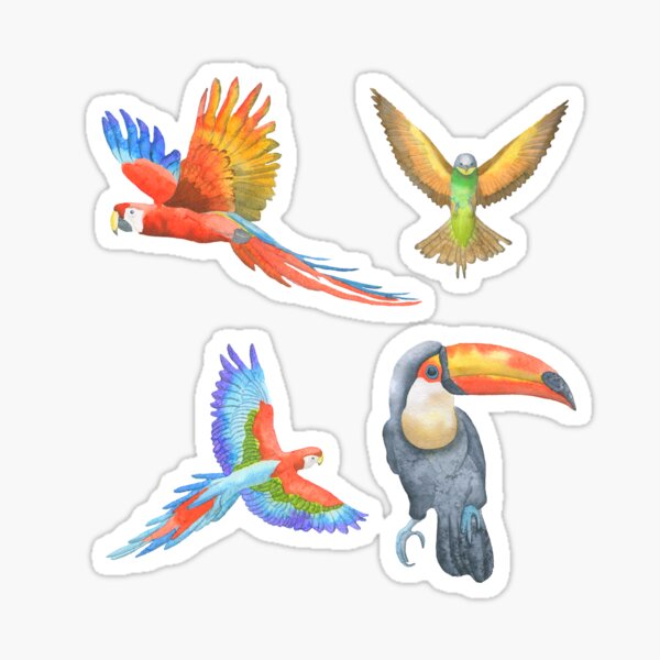 Cute Glitter Bird Stickers, Kawaii Sticker Set, Budgie Stickers