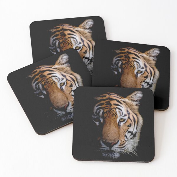 Item preview, Tiger Stare designed and sold by clothingyouneed.com.