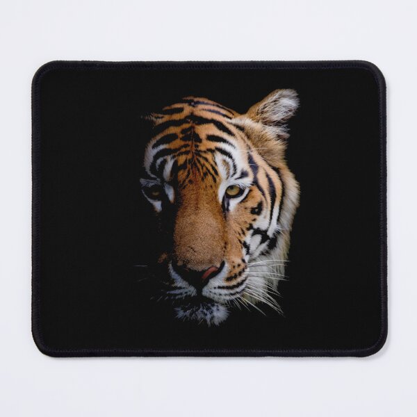 Item preview, Tiger Stare designed and sold by clothingyouneed.com.