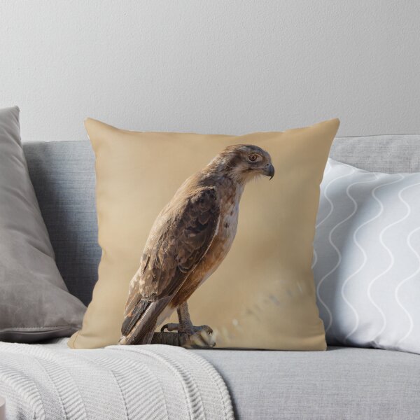 Item preview, Australian Brown Falcon designed and sold by David  Hibberd.