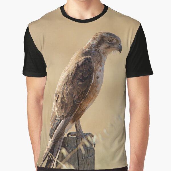 Mens Shirt Print Falcon, Eagle Shirt Men, Falcons Eagles