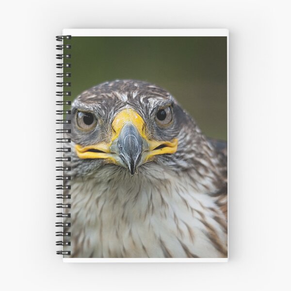 Item preview, Hawk designed and sold by Gisele Bedard.