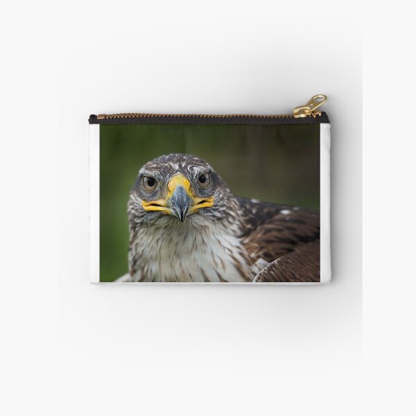 Item preview, Hawk designed and sold by Gisele Bedard.