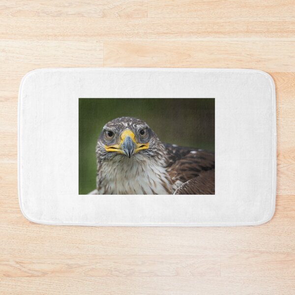 Item preview, Hawk designed and sold by Gisele Bedard.