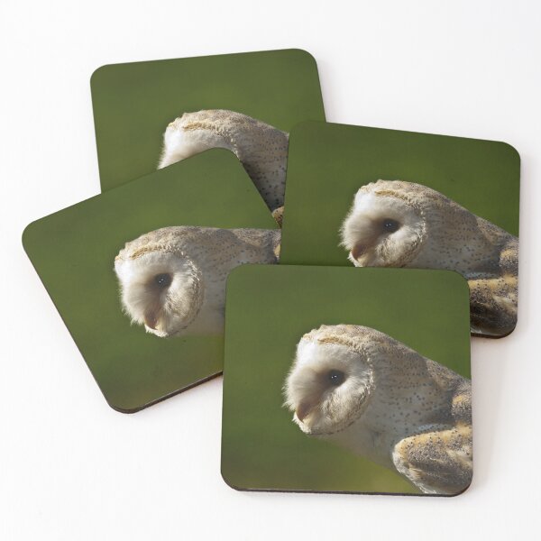 Item preview, Common Barn Owl designed and sold by Gisele Bedard.