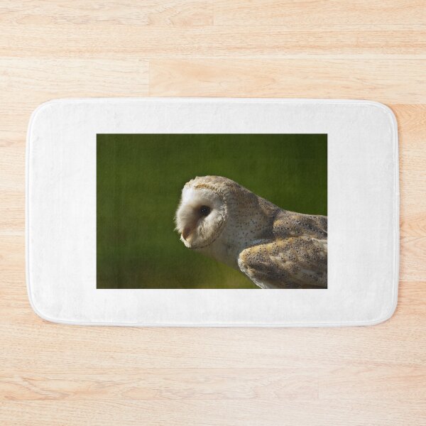 Item preview, Common Barn Owl designed and sold by Gisele Bedard.