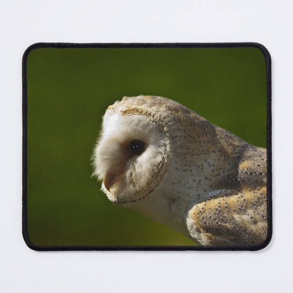 Item preview, Common Barn Owl designed and sold by Gisele Bedard.