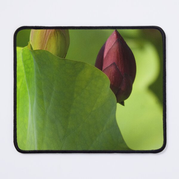 Item preview, Together designed and sold by Gisele Bedard.