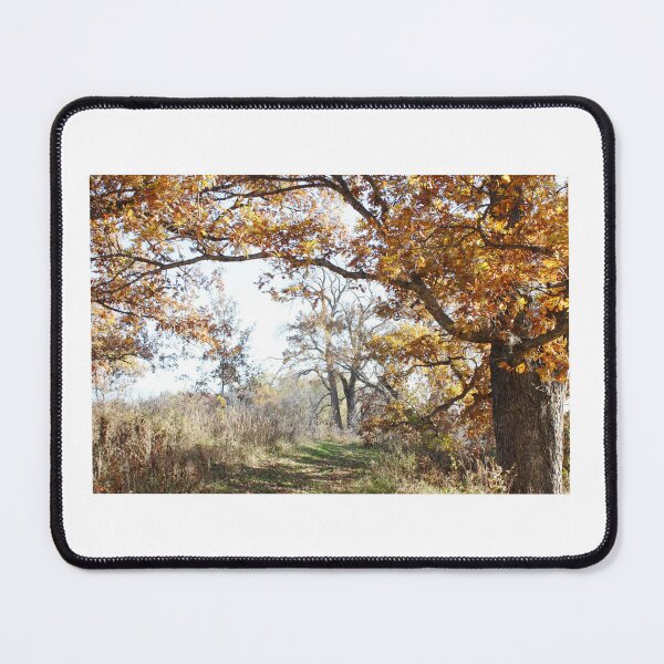 Item preview, Beautiful nature walk in the fall time! designed and sold by ScottRasmussen.