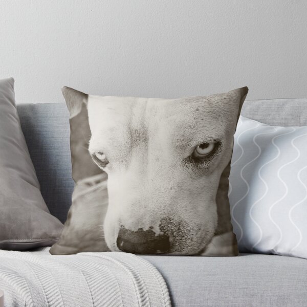 Item preview, Won't You Come Play!? designed and sold by Zdogs.