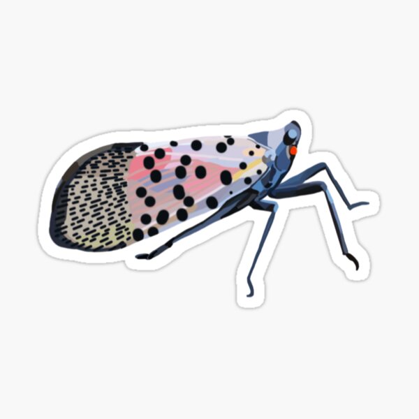 Item preview, Spotted Lanternfly designed and sold by radiantdark.