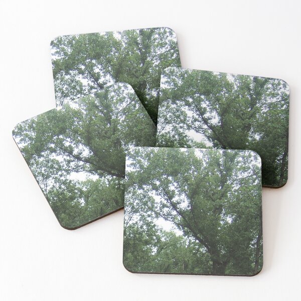 Item preview, Julianna Barwick  - The Magic Place designed and sold by ambientlife.