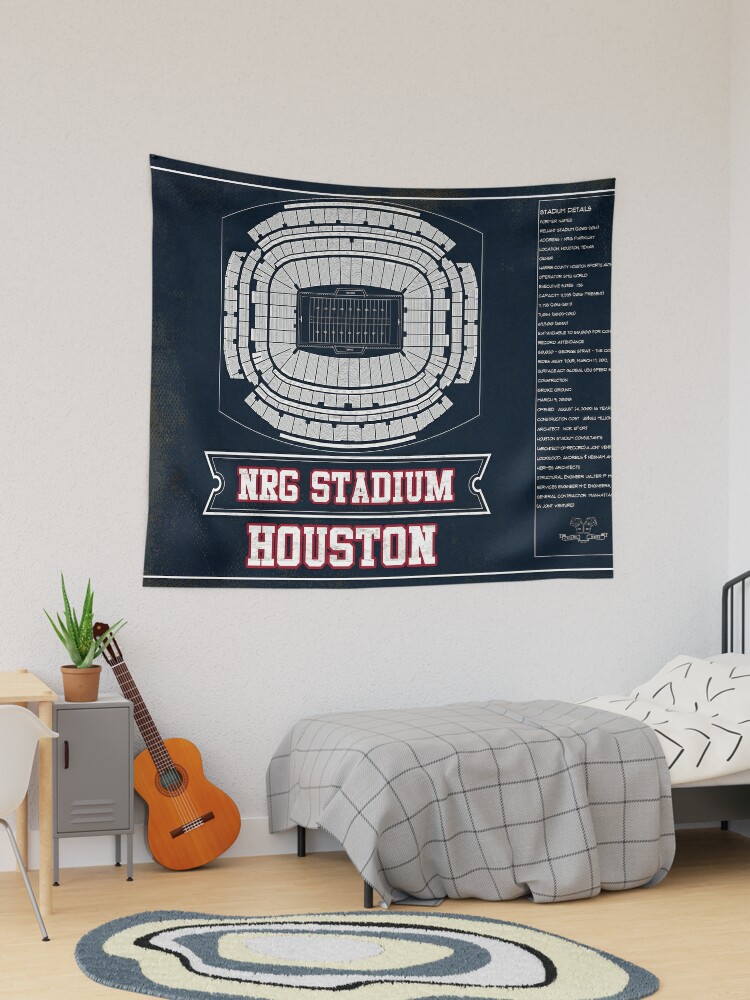 Houston Texans Stadium Seat