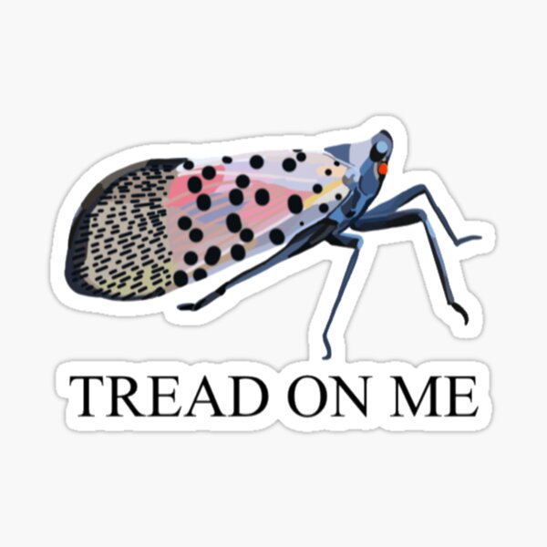 Item preview, Spotted Lanternfly designed and sold by radiantdark.