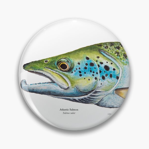Item preview, Atlantic Salmon Head Painting designed and sold by Stephen Emms.